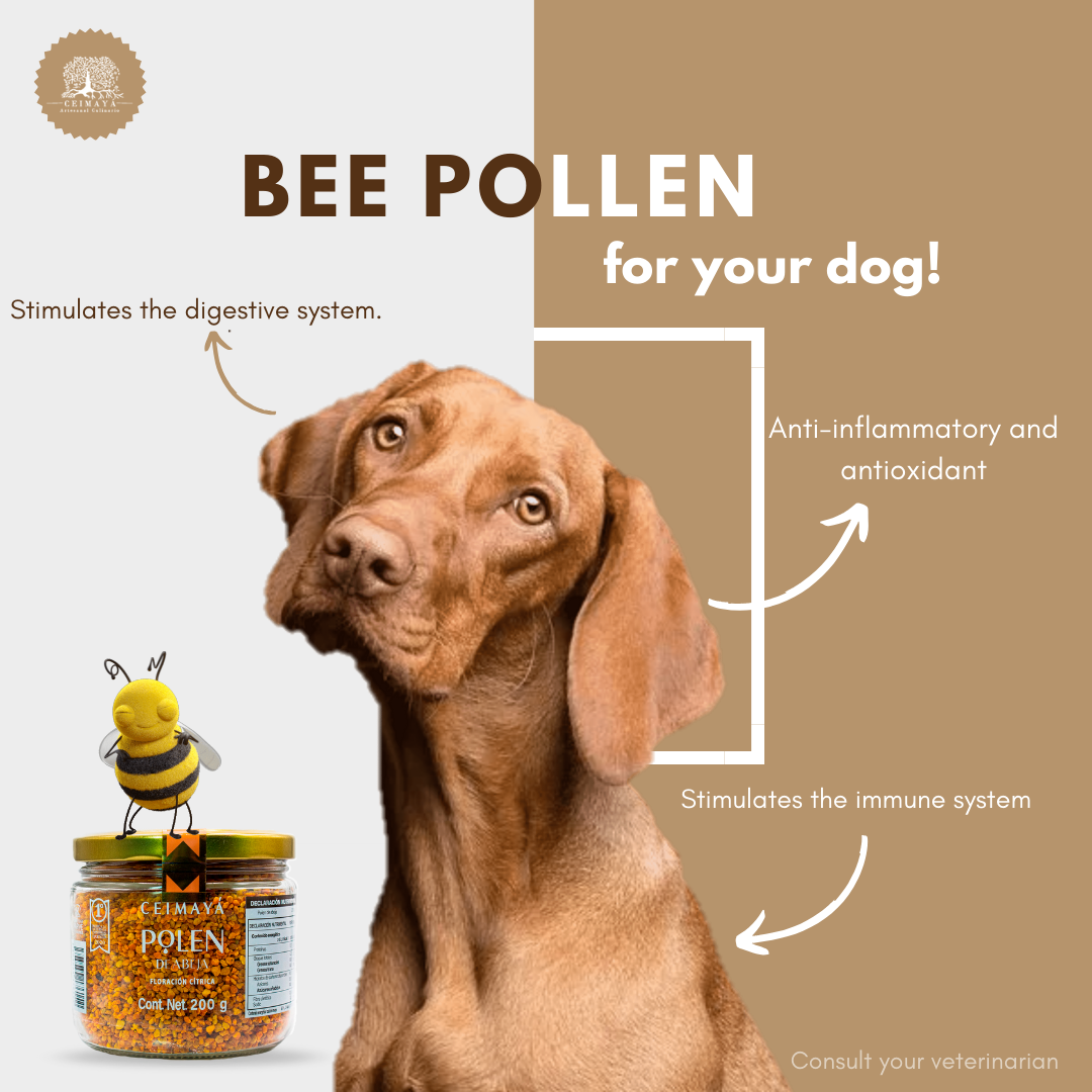 Bee pollen for your dog!