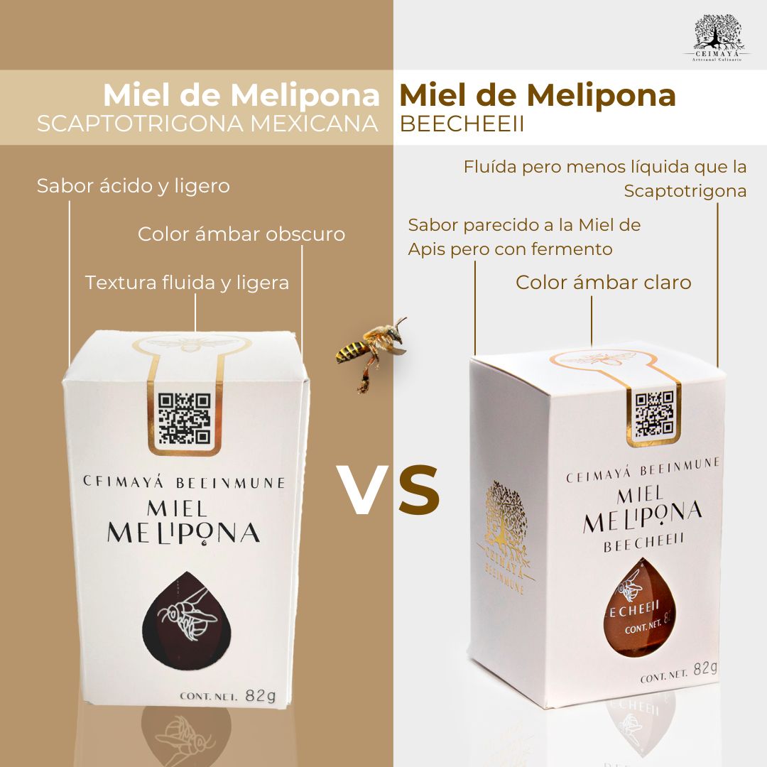 ¿DOS MIELES DE MELIPONA?