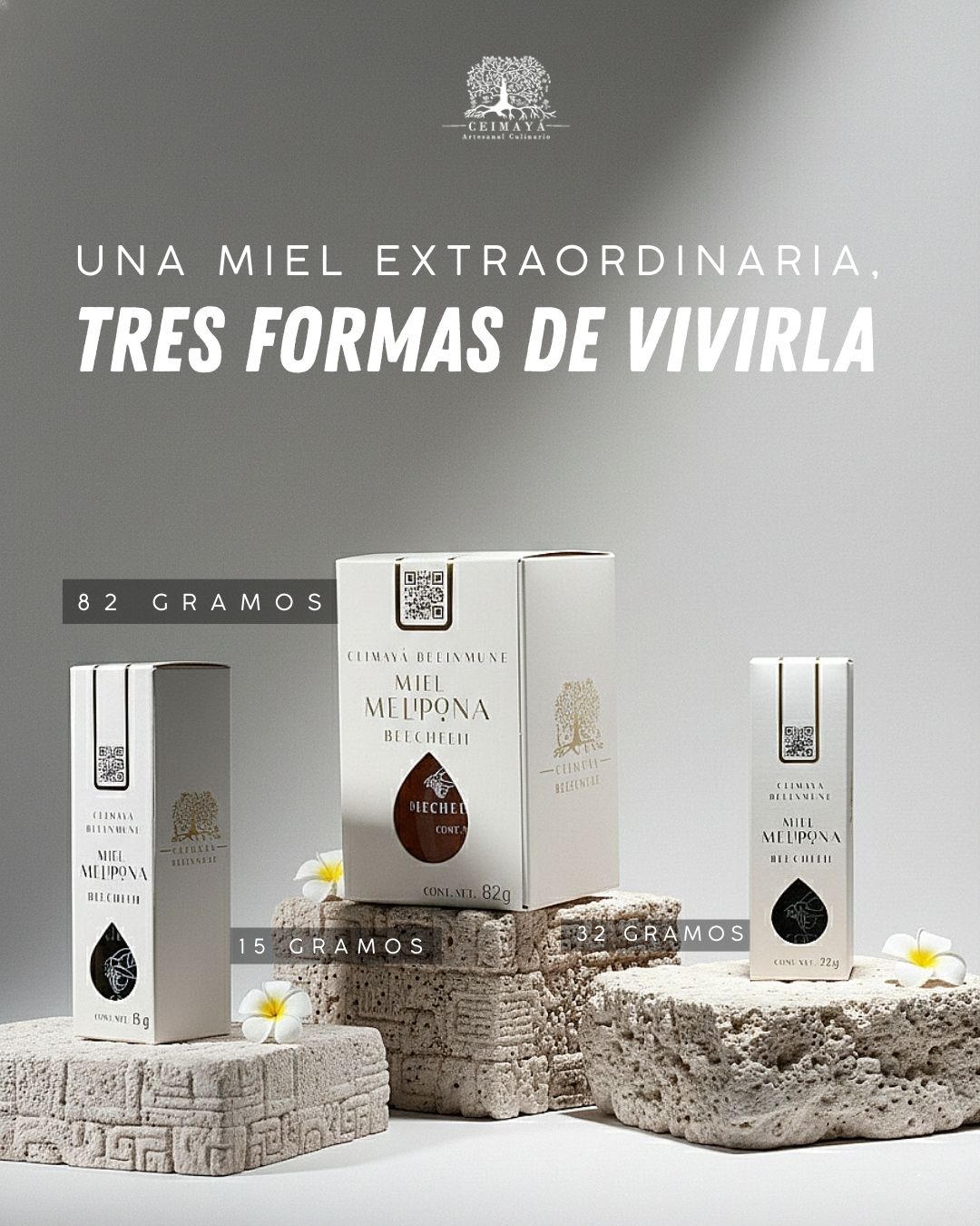 Ceimayá presenta la miel Melipona beecheii maya de Yucatán: tradición ancestral ahora en gotero